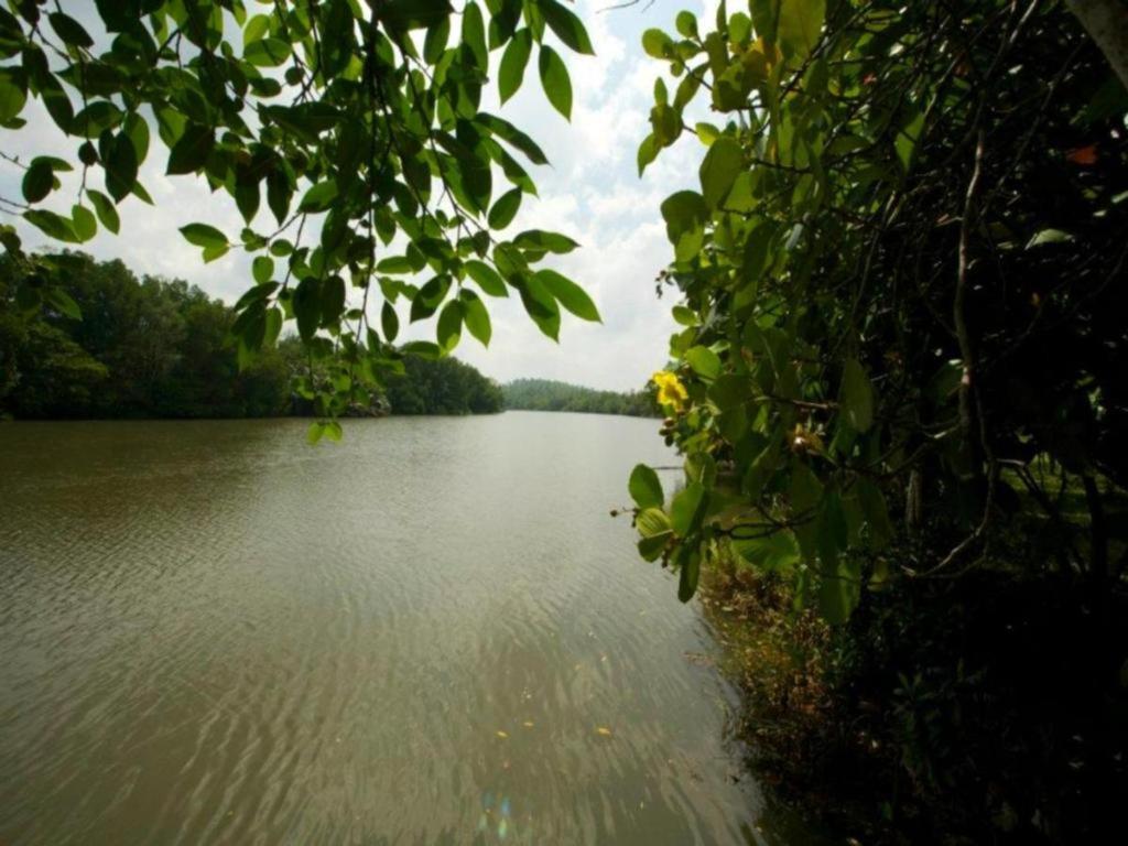 Mangrove Escapes Resort Bentota Exteriér fotografie