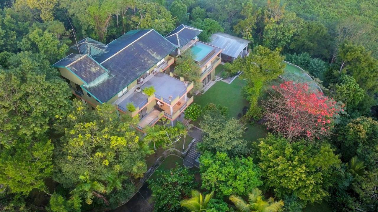 Mangrove Escapes Resort Bentota Exteriér fotografie