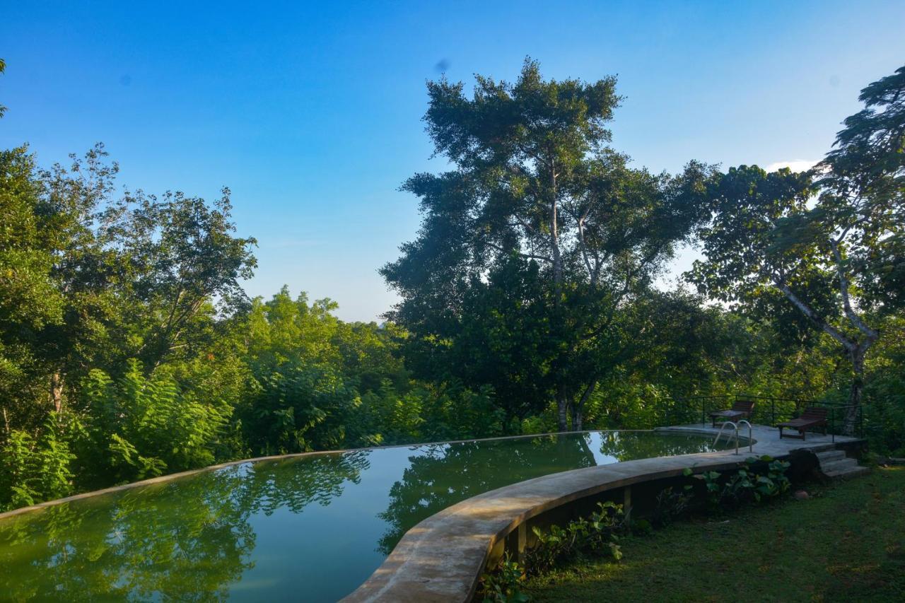 Mangrove Escapes Resort Bentota Exteriér fotografie